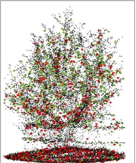 Figure 11. Histogram of 3d points within vegetation column in absolute numbers; the reference zero height is estimated from ULS data; green: ALB; red: ALS