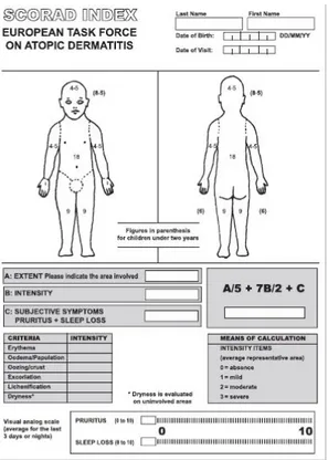 Gambar 2.2. Indeks SCORAD (The European Task Force on Atopic  Dermatitis, 1993)