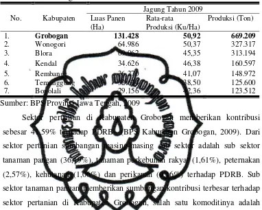 Tabel 1.2  Luas Panen, Hasil Per Hektar dan Produksi Jagung Terbesar Di Jawa Tengah Tahun 2009 