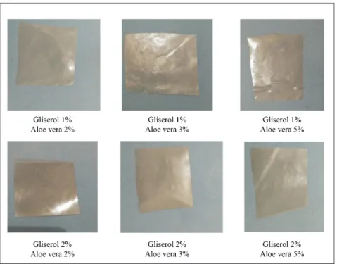 Gambar 1. Hasil penampakan plastik biodegradable