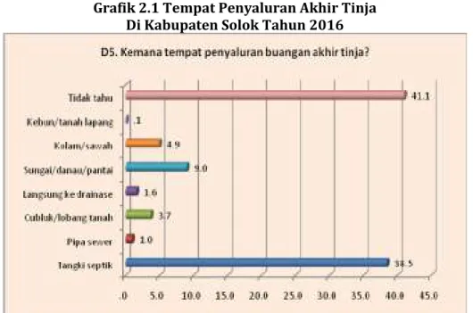 Grafik 2.1 Tempat Penyaluran Akhir Tinja  Di Kabupaten Solok Tahun 2016 