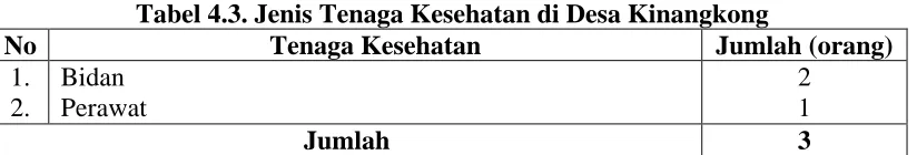 Tabel 4.2. Jenis Sarana Kesehatan di Desa Kinangkong  Sarana Kesehatan Jumlah (unit) 