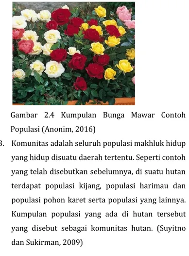 Gambar  2.4  Kumpulan  Bunga  Mawar  Contoh  Populasi (Anonim, 2016) 