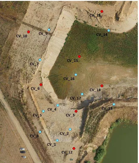 Figure 6. Location of the signalized points. Red dots were used as GCPs and blue ones as CKPs 