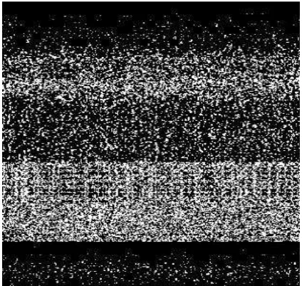 Figure 4. Impulse noise extracted from the image shown in Figure 3. 
