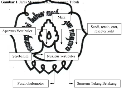 Gambar 1. Jaras Mekanisme Keseimbangan Tubuh  