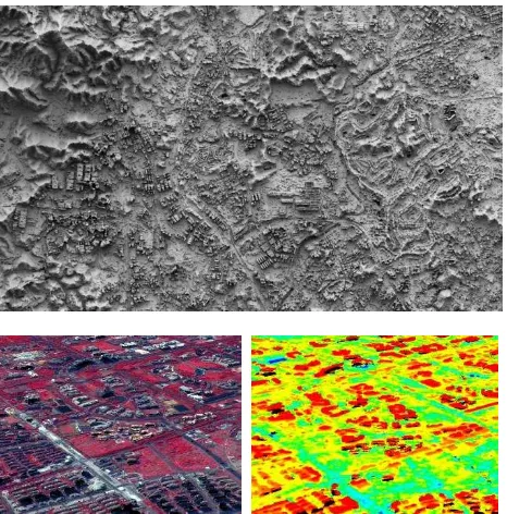 Figure 7. Pixel-wise DSM and orthophoto, point clouds from ZY-3 data generated using RSP