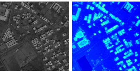 Figure 5: Left: Worldview-3 Image (Muscat, Oman) Right: DSMgenerated from OSGM