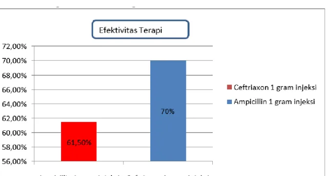 Gambar V.6 Efektivitas Terapi Antibiotik 