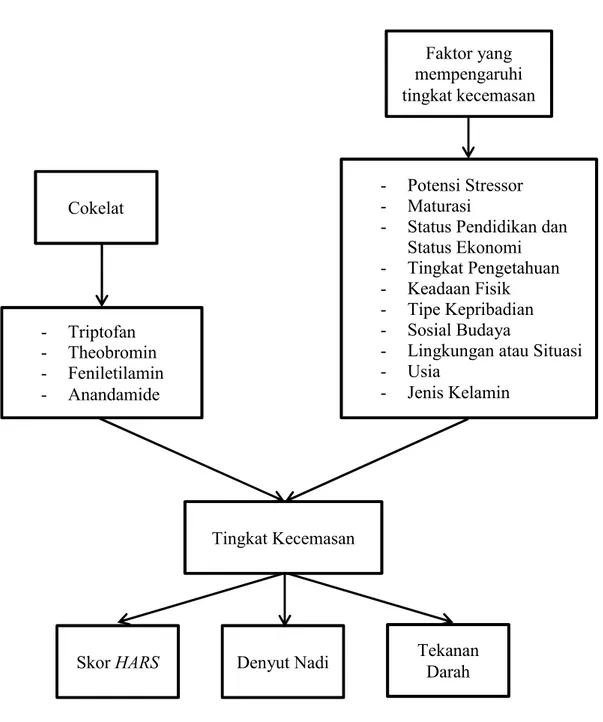 Gambar 1. Kerangka Teori Cokelat -Triptofan -Theobromin -Feniletilamin -Anandamide - Potensi Stressor -Maturasi 