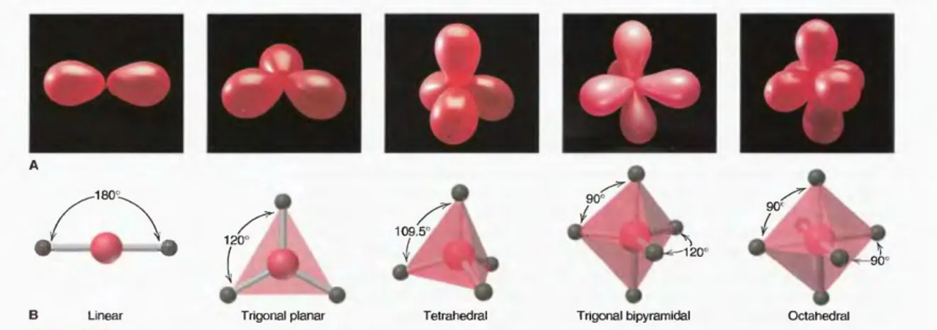 Gambar IO.2A menggambarkan pola-pola dengan balon. Jika objek adalah valensi kelompok elektron  dari atom pusat, tolakan mereka memaksimalkan setiap ruang menempati dan menimbulkan lima  elektron-kelompok pengaturan energi minimum terlihat di sebagian besa