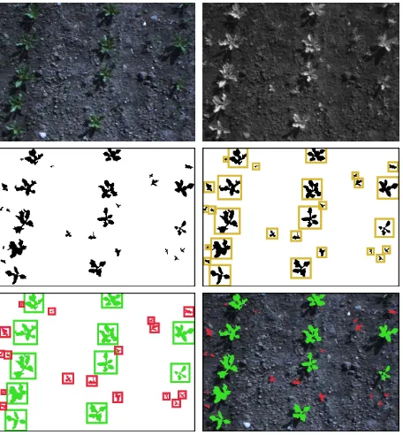Figure 1. Illustration of our approach. Top: Original RGB andNIR images. Middle: NDVI mask and connected blobsegmentation