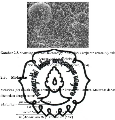 Gambar 2.3. Scanning Electron Microscopy (SEM) dari Campuran antara Fly ash 