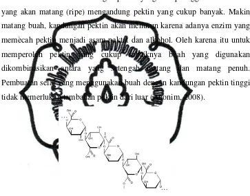 Gambar 2.2 Struktur Kimia Pektin 