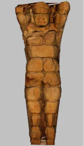 Figure 11.  Screen-shot of ZScan software  