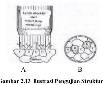 Gambar 2.14 Ilustrasi skematik mikro pembekuan struktur logam 