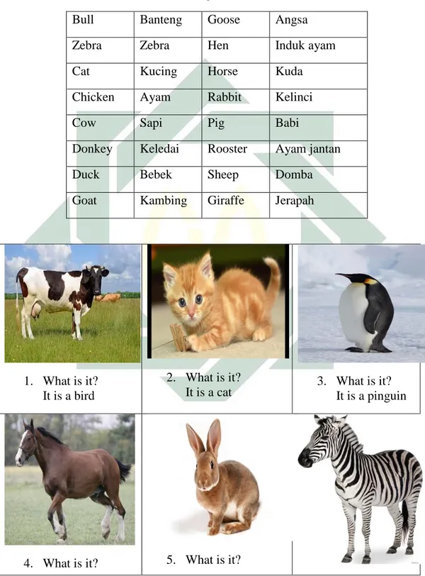 Tabel 2.2   Names of Animal 