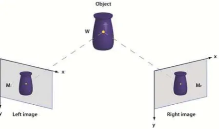 Figure 1: Stereo correspondence in left (ml) and right (mr) images of a 3D point w on the object