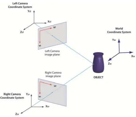 Figure 3.  Coordinate systems of the cameras and the object.   