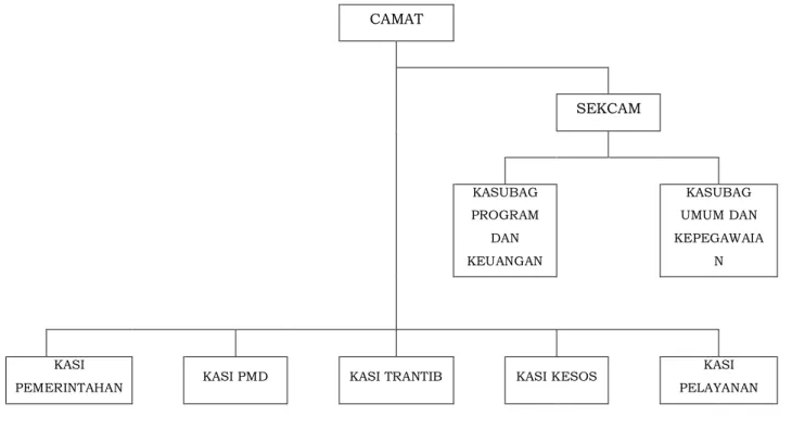 Gambar 2.1 Bagan Struktur Organisasi Kecamatan Tayu  2.1.2. Tugas Pokok dan Fungsi Kecamatan 