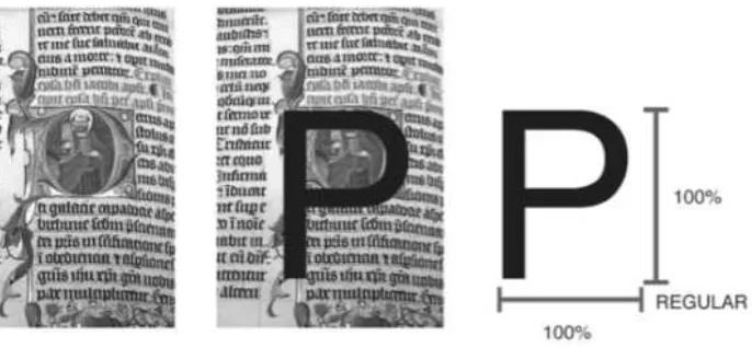 Gambar 5. Proporsi ‘P’ pada Petrus.
