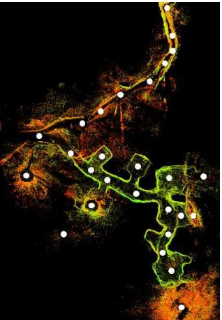 Figure 3. Scheme of laser-scanner scan points set up for the  survey of the hypogeum area
