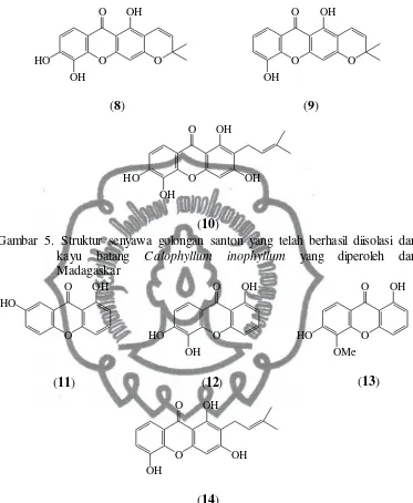 Gambar 6. Struktur senyawa golongan santon yang telah berhasil diisolasi dari  kayu batang Calophyllum inophyllum yang diperoleh dari Australia 