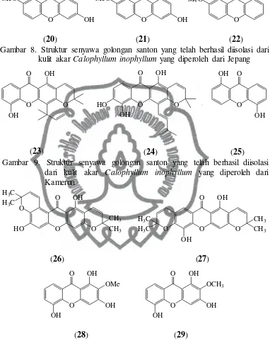 Gambar 10. Struktur senyawa golongan santon yang telah berhasil diisolasi  dari akar Calophyllum inophyllum yang diperoleh dari Malaysia 