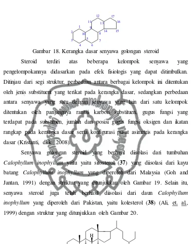Gambar 19. Struktur senyawa golongan steroid yang telah berhasil diisolasi dari kayu batang Calophyllum inophyllum yang diperoleh dari Malaysia 
