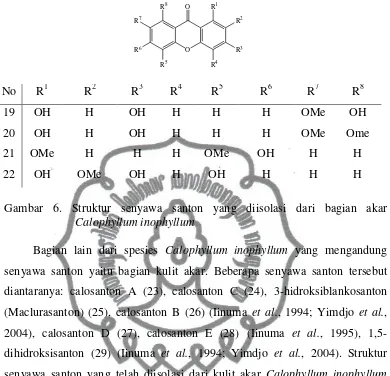 Gambar 6. Struktur senyawa santon yang diisolasi dari bagian akar 