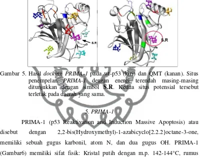 Gambar  6. Struktur PRIMA-1 ( Bykov et al., 2002b) 