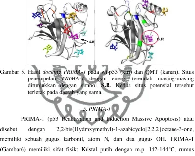 Gambar  6. Struktur PRIMA-1 ( Bykov et al., 2002b) 