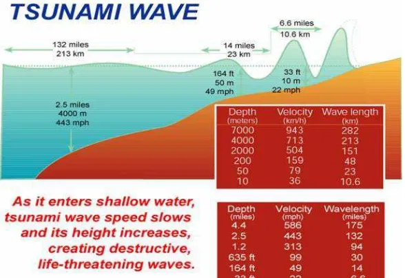 Gambar di atas merupakan uraian dari beberapa teori yang mencoba memodelkan bagaimana pembentukan gelombang Tsunami menuju pantai