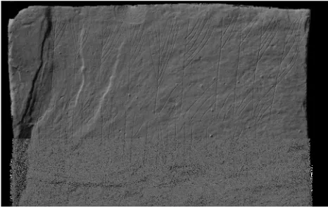 Figure 12. Meshed point cloud data from Viking runic 