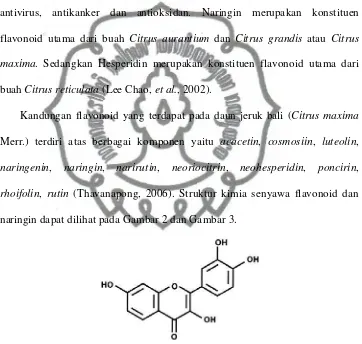 Gambar 2. Stuktur Kimia Senyawa Flavonoid (Maher, 2006)