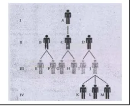 Gambar. 4.3. Kemampuan klasifikasi dengan tes pohon keluarga 
