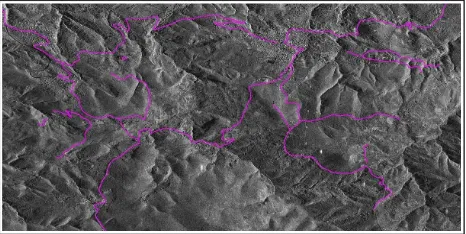 Figure 2.  The 2D road network (FFLFs) on the TerraSAR-X image.