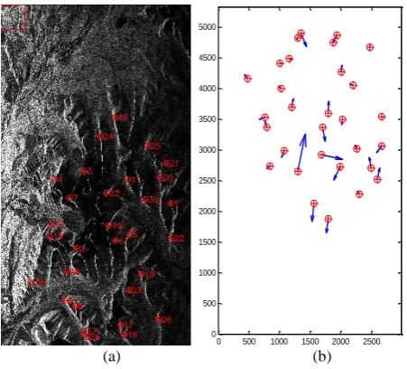 Figure 3.  (a) Fusion real SAR image (left) and (b)ICPs vectors (right).  