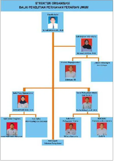 Gambar 1. Struktur Organisasi BP3U