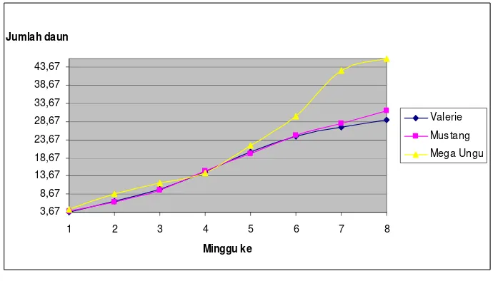 Gambar 2 Histogram jumlah daun terong ungu pada berbagai macam varietas setelah pemupukan