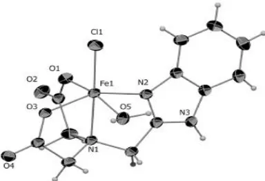 Gambar 5. Kompleks [Ni(2A-4Mpy)(dipicolinate)(H2O)2].2H2O (Bulut et al., 2009) 