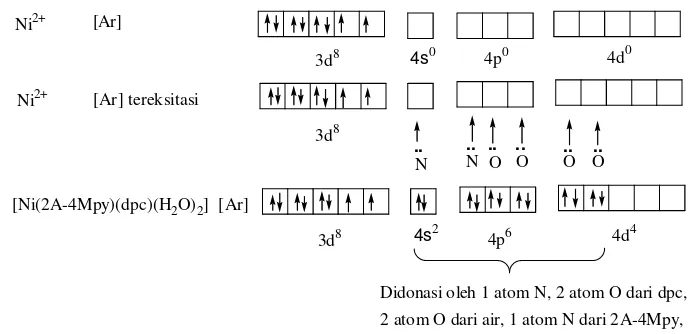 Gambar 7. Ikatan Koordinasi pada Kompleks ([Ni(2A-4Mpy)(dipicolinate)(H2O)2]. 