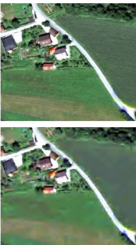 Figure 1. An excerpt from the original image (top) and the compressed image at 100:1 ratio (bottom)