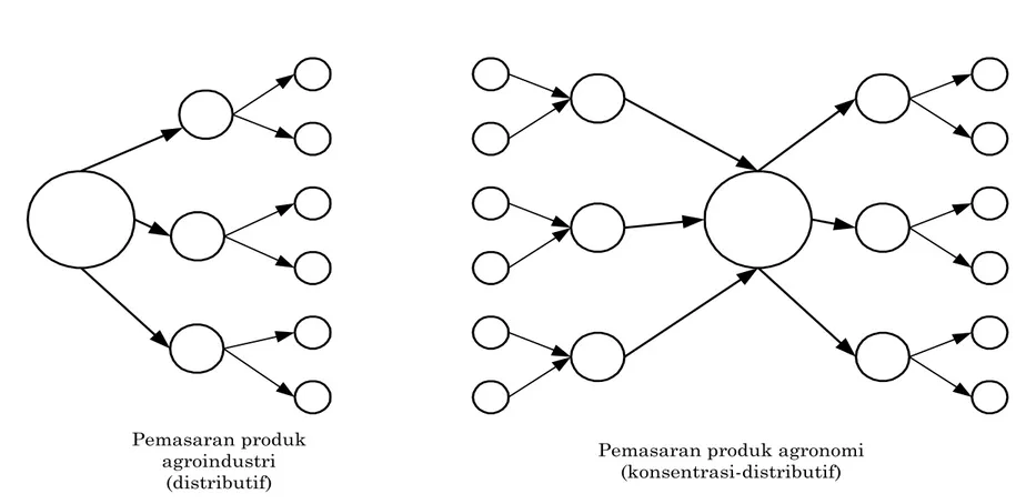 Gambar 1.1. Komparasi Produk Agroindustri dan Agronomi dari Karakteristik Agroniaga Diadaptasi dari : Sudiyono,A.,2001