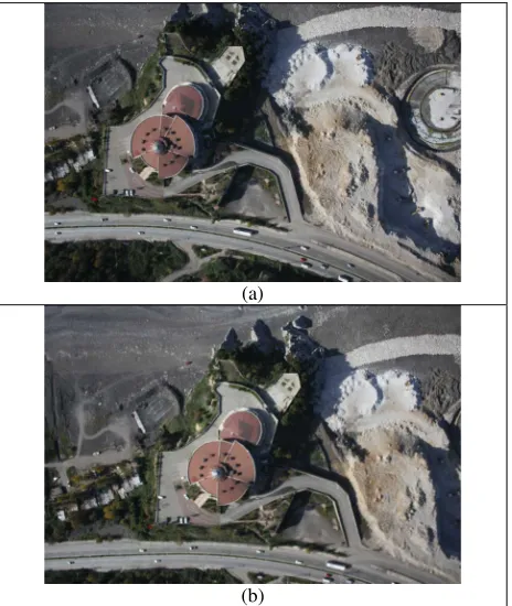 Figure 9 Stereo Pair Used for Application 