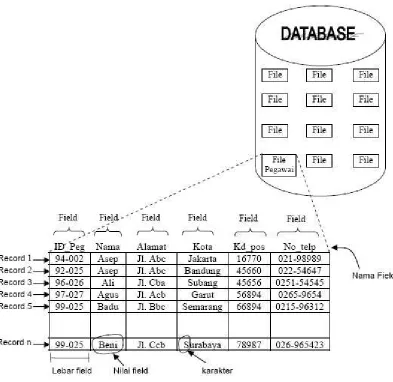Gambar 1. Hierarkis DatabasePEMBAHASAN