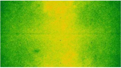 Figure 1. Image sharpness map obtained using 156 images of  the Banyoles DMC campaign by the IGN/MATIS