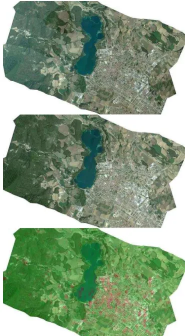 Figure 3 gives results of the evaluation of the accuracy of the reflectance calibration of an image strip collected from 2 km flying height on good atmospheric conditions (difference to re-ference value in % of the reflectance)
