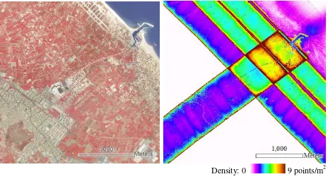 Figure 1. Study area in colour infrared composition (left) and actual density distribution map of LiDAR data (right)