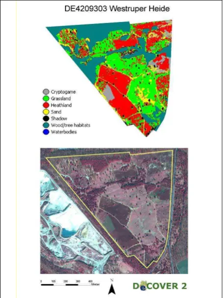 Figure 4.  Classification result (top) and Geoeye image (4-3-2 channel combination) for the test site Westruper Heide  